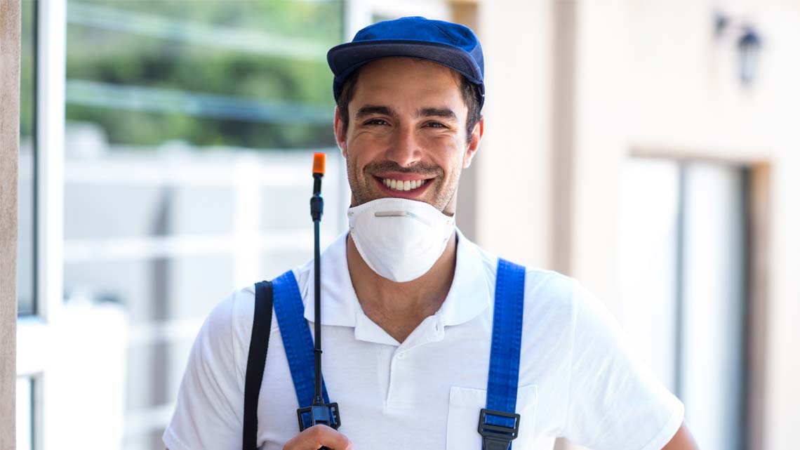 ابادة سوس الخشب بدون مغادرة المنزل