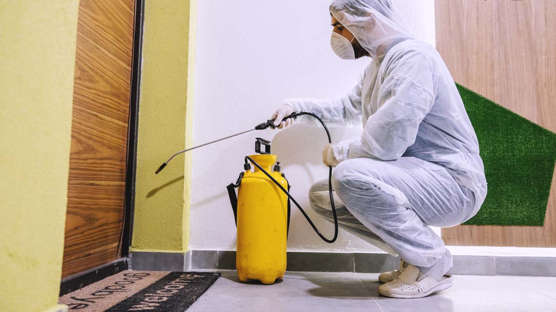 أفضل شركة متخصصة في ابادة البق