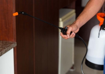 ابادة النمل