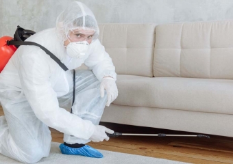 ابادة الابراص