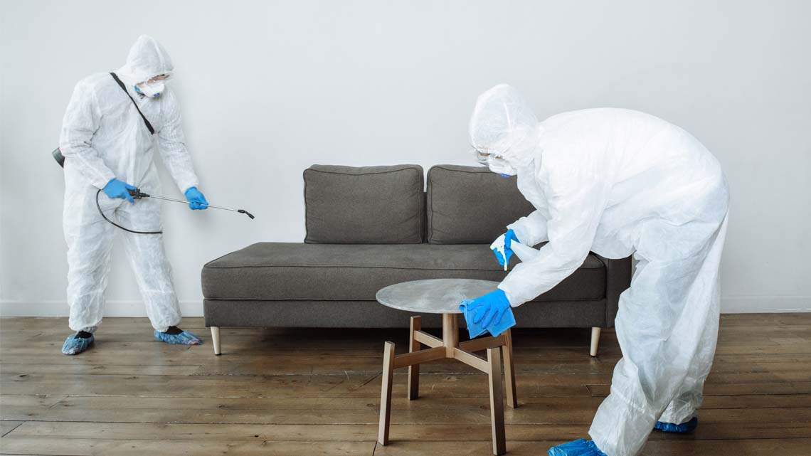 ابادة البعوض نهائيًأ باسعار تنافسية وضمان 5 سنوات