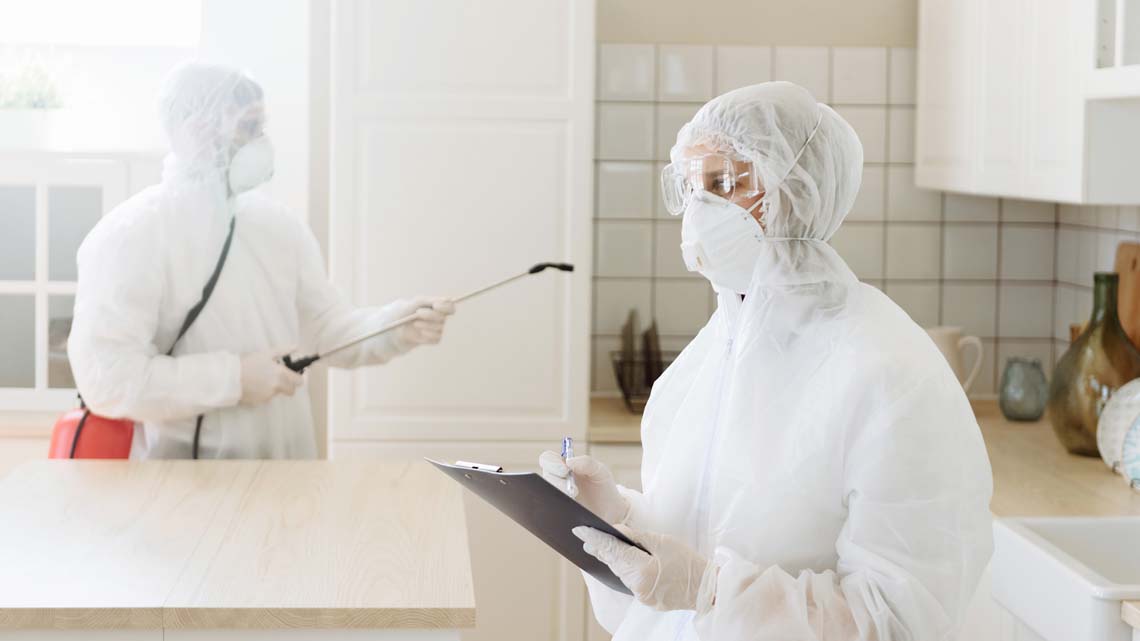 افضل شركة رش حشرات