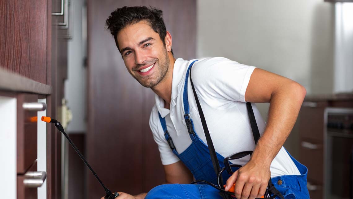 الشركة الأولى في ابادة الصراصير بمبيدات آمنة