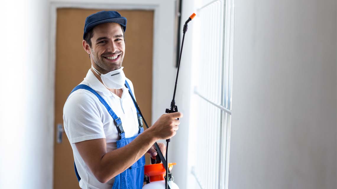 ابادة البراغيث بكل أنواعها بدون مغادرتك المنزل