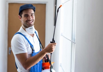 ابادة البراغيث بكل أنواعها بدون مغادرتك المنزل